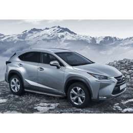 Пороги ''Premium'' Rival для Lexus NX (2014-2017), 173 см, алюминий, A173ALP.3202.1