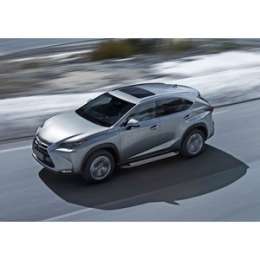 Пороги ''Bmw-Style овалы'' Rival для Lexus NX (2014-2017), 173 см, алюминий, B173AL.3202.1